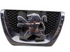 Front grill 9800313880