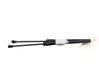 Tailgate/trunk strut/damper 904514584R