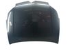 Engine bonnet/hood 00007901L4