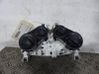 Climate control unit 1568587