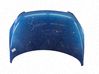 Motorhaube 7901J0
