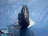 Other control units/modules 8623013010