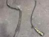 ABS Pump 51381