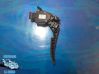 Pedal del acelerador 6PV00976507