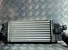 Intercooler radiator 00000384N4