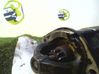 Starter motor 6651510201