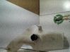 Depósito/tanque del líquido limpiaparabrisas 0000046767203