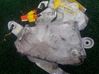 Airbag lateral 30826833103D