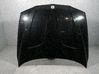 Motorhaube 41003449411