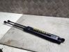 Tailgate/trunk strut/damper 