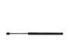 Tailgate/trunk strut/damper D65162620A