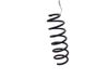 Rear coil spring 55020HV10D
