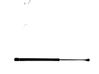 Tailgate/trunk strut/damper 689600W172