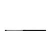 Tailgate/trunk strut/damper 904520002R