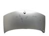 Motorhaube 6025309177