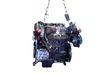 Motor 71754644