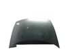 Engine bonnet/hood 7901N0