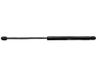 Tailgate/trunk strut/damper 1093705