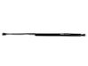 Tailgate/trunk strut/damper 8731G6