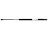 Tailgate/trunk strut/damper 8731G6