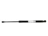 Tailgate/trunk strut/damper 844302093R
