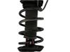 Front coil spring 1K0411105DC