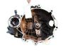 Mechaninė 6 pavarų dėžė 2T300044R