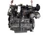 Engine 55565607