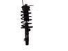 Front coil spring 5002YC