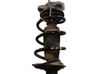 Feder vorne 5002NP