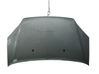 Motorhaube 1252640