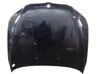 Engine bonnet/hood 41617111385