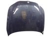 Engine bonnet/hood 41617111385