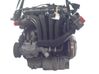 Variklis 11000430231