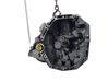 Manual 6 speed gearbox 320109085R
