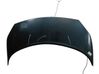 Motorhaube 651001097R