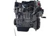 Engine 1614416880