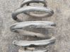 Rear coil spring RJ6631