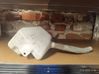 Windshield washer fluid reservoir/tank 3M5117618AG