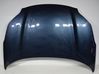 Engine bonnet/hood 66400F1000