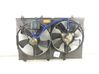 Fan set 