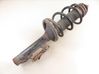 Front shock absorber with coil spring 