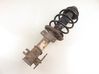 Front shock absorber with coil spring 