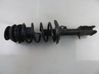 Front shock absorber with coil spring 