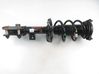 Front shock absorber with coil spring 