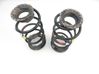 Muelle espiral trasero 