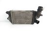 Intercooler radiator 