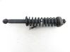 Rear shock absorber with coil spring 