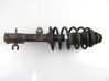 Front shock absorber with coil spring 