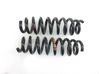 Rear coil spring 